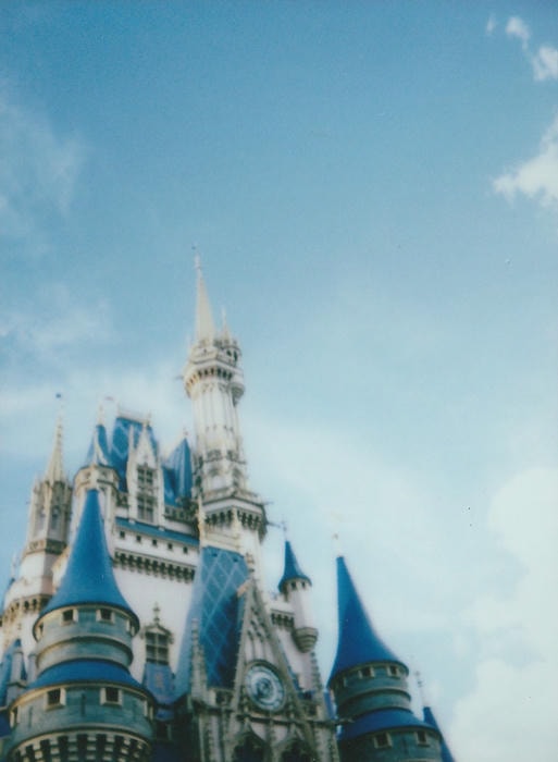 instant picture from my florida trip